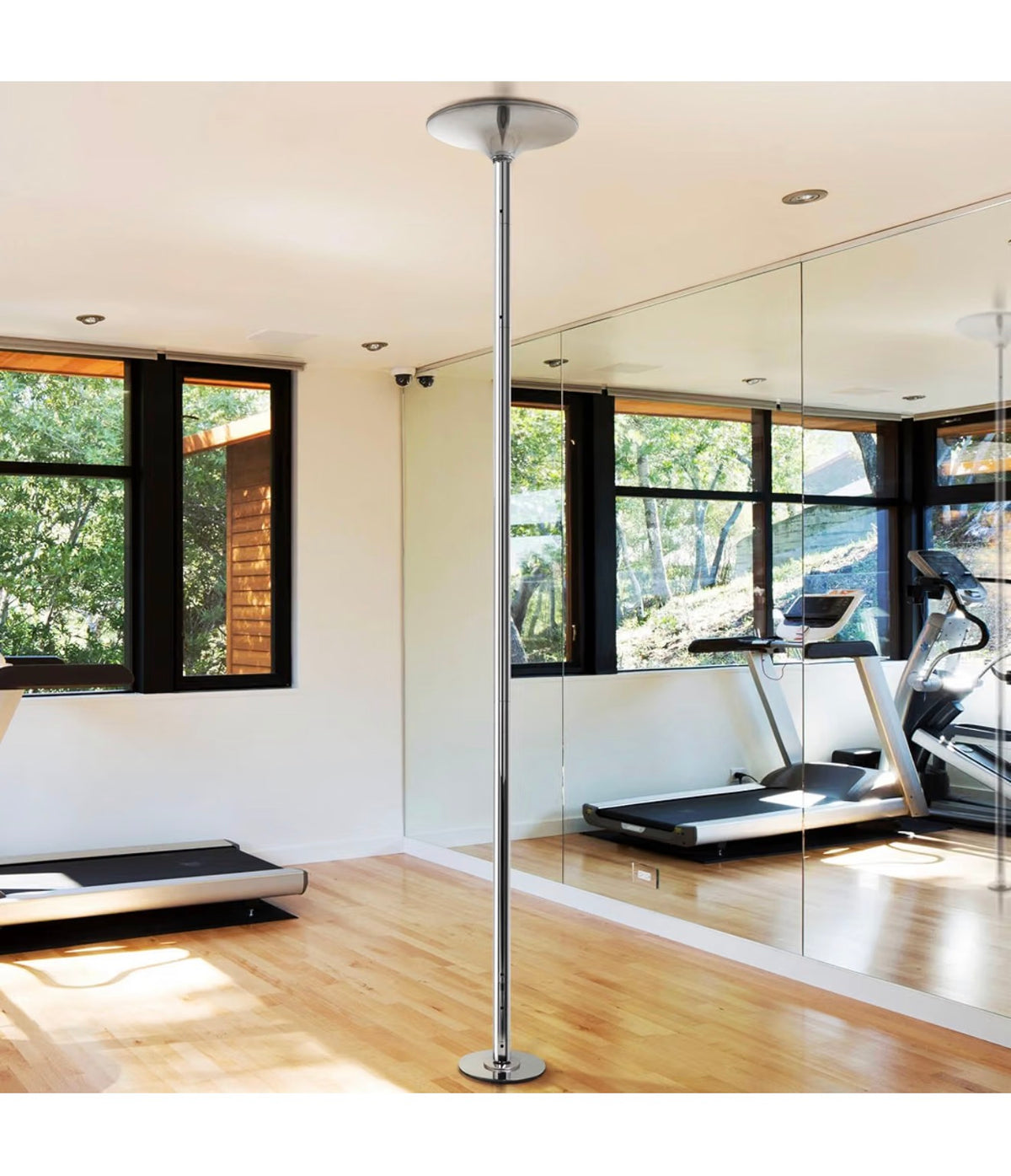 The Aerilux Studio Pro — Professional Spinning & Static Dance Pole